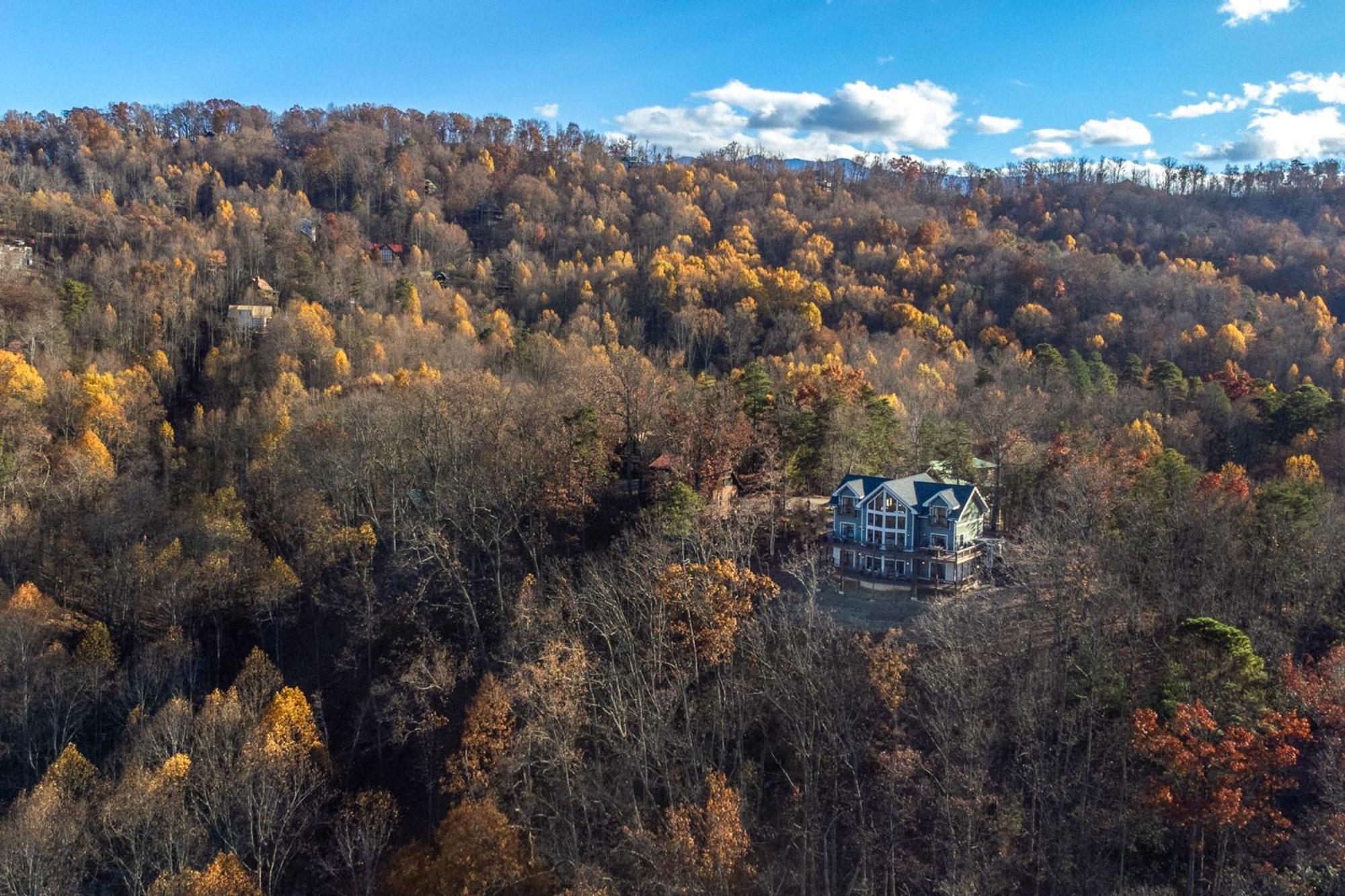 הוילה סביירוויל The Treetop Sanctuary מראה חיצוני תמונה